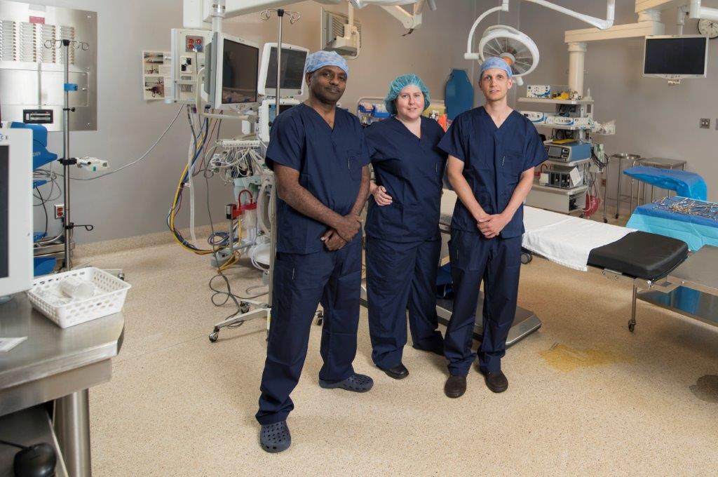 Vascular Surgery Program Already a Success at Our Hospital